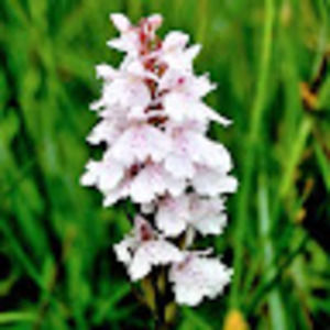 Meet your Posher, Nyoka57